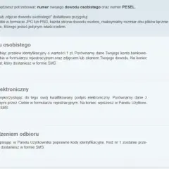 Jak sprawdzić BIK? Twój przewodnik po historii kredytowej