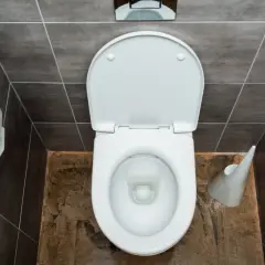 Vue plongeante d'une cuvette de WC blanche ouverte, avec un distributeur de papier à gauche. Le sanibroyeur fonctionne pour évacuer les déchets.