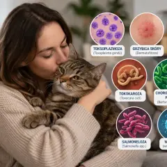 Kobieta tuli kota, a obok grafiki ilustrujące choroby przenoszone przez koty na ludzi: toksoplazmoza, grzybica, kleszcze, tokokaroza, choroba kociego pazura, salmoneloza, wścieklizna.