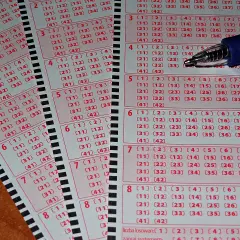 Zbliżenie na kilka kuponów lotto z zaznaczonymi numerami i długopisem.