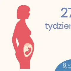 Sylwetka kobiety w ciąży, w brzuchu widoczny płód. Obok napis: 27 tydzień.