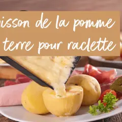 Une spatule verse du fromage fondu sur des pommes de terre pour raclette. Accompagné de charcuterie et de cornichons.