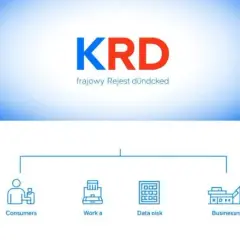 Jak sprawdzić KRD za darmo? Prosty przewodnik krok po kroku