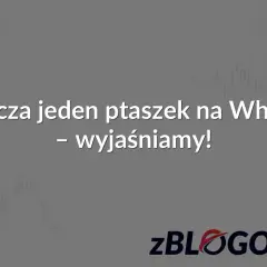 Co oznacza jeden ptaszek na WhatsApp? Wyjaśniamy! Tło z wykresami i logo zBLOGOWANI.