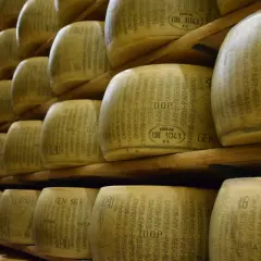 Quesos Parmigiano-Reggiano apilados en estanterías de madera. En España, como se llama el queso parmesano es Parmesano.