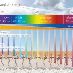 Solens spektrum visar hur UV-strålar orsakar skador på huden. Även med solskyddsfaktor 50 kan man bli brun, men skyddet minskar risken för solskador.