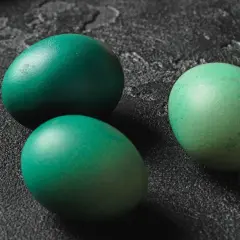 Trzy zielone jajka leżą na ciemnym tle.
