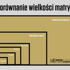 Porównanie wielkości matryc: od średniego formatu, przez pełną klatkę, aż po mniejsze APS-C i 1/2,3".