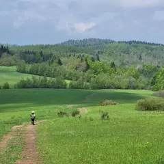 Osoba w kapeluszu idzie ścieżką przez zielone łąki, w tle las. To piękny fragment GSB szlak.
