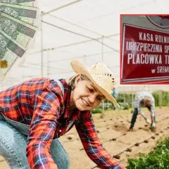 Rolniczka w szklarni, symbolizująca ciężką pracę, z banknotami 100 zł i tablicą KRUS. Ile wynosi emerytura rolnicza po 40 latach pracy?