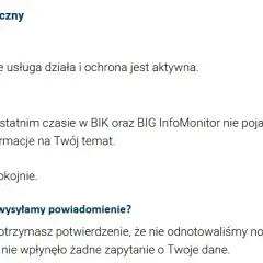 Alerty BIK: Czy to pewna ochrona przed wyłudzeniem kredytu?