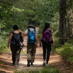 Pantalones Decathlon hombre: Guía experta para tu aventura ideal