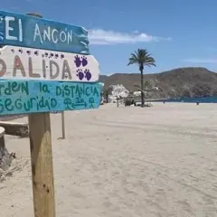 Cartel en la playa El Ancón, Carboneras: "Salida. Guarden la distancia de seguridad". Palmera y mar al fondo.