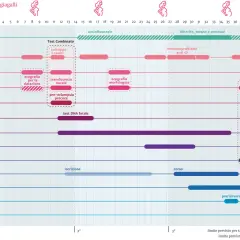 Calendario gravidanza: esami di laboratorio, ecografie, test genetici e analisi del sangue per la gravidanza, vaccinazioni e controlli ostetrici.