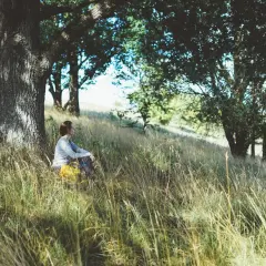 En person sitter i gräset under ett träd. Kanske en paus för att bajsa i skogen.