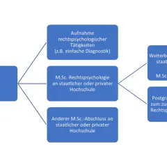Flussdiagramm zeigt Wege zum forensische psychologie master: B.Sc. Abschluss führt zu rechtspsychologischer Tätigkeit oder M.Sc. Rechtspsychologie.