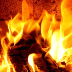Glühende Flammen tanzen um Douglasie-Brennholz im Kamin. Wärme und Gemütlichkeit breiten sich aus.