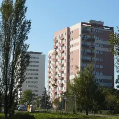 Wysokie bloki mieszkalne na osiedlu Lotnictwa Polskiego, otoczone zielenią i wysokimi drzewami.