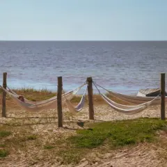 En person vilar i en hängmatta vid Tofta strand boende. Flera hängmattor hänger mellan träpålar vid havet.