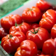 Un panier rempli de tomates rouges et juteuses, un vrai truc de grand-mère pour avoir de belles tomates.