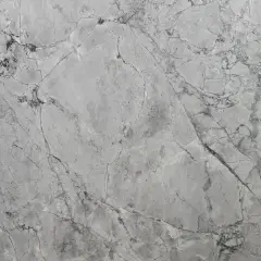 Szara powierzchnia z żyłkami, przypominająca naturalny **dolomit**. Po prawej stronie widać fragment zielonych liści.