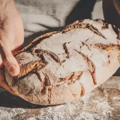 Ręce trzymają świeży, chrupiący bochenek. Idealny, gdy zastanawiasz się, jaki chleb przy skazie białkowej wybrać.