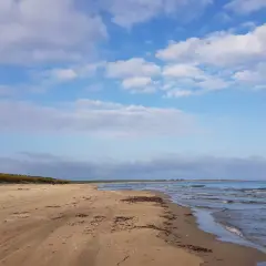 Pusta plaża nad Bałtykiem, gdzie fale delikatnie obmywają brzeg. To właśnie tu, dzięki licznym rzekom i niewielkiemu parowaniu, dowiadujemy się, dlaczego Bałtyk jest mało zasolony.