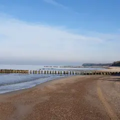 Plaża nad Bałtykiem z drewnianymi falochronami i łagodnymi falami.