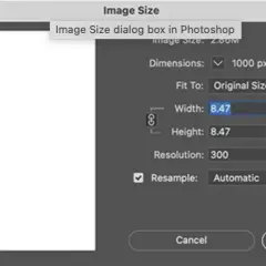 Jak poprawić jakość zdjęcia w Photoshopie i uniknąć powszechnych błędów