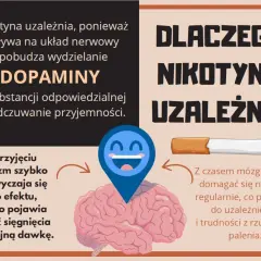 Nikotyna uzależnia, bo wpływa na mózg i dopaminę. Organizm szybko się przyzwyczaja, co prowadzi do chęci sięgnięcia po kolejną dawkę.