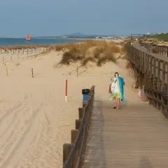 Drewniany deptak prowadzi na piaszczystą plażę z rzędami leżaków i parasoli. W oddali widać morze i zabudowania. To idealne miejsce na relaks, a deptak grzybowo atrakcje dodaje uroku.