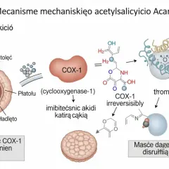 Kwas acetylosalicylowy blokuje COX-1, hamując produkcję tromboksanu A2 i agregację płytek krwi.