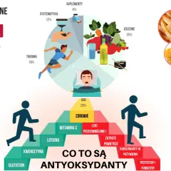 Co to są antyoksydanty? Grafika pokazuje źródła i czynniki wpływające na ich poziom: goździki, oregano, cynamon, sen, trening, jedzenie, suplementy.
