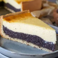 Ein Stück schneller Quark Mohn Kuchen ohne Boden auf einem Teller. Die Mohnschicht ist dunkel und die Quarkschicht hellgelb.
