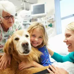 Niña sonriente abraza a un perro de terapia mientras una enfermera y su madre observan.