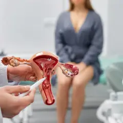 Lekarz pokazuje model narządów rodnych, wskazując na obszar, który może być dotknięty nadżerką. Pacjentka siedzi w tle.