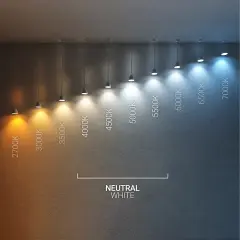 Comparativa de temperaturas de color de luz, desde cálida (2700K) hasta fría (7000K), mostrando la transición hacia un blanco neutro alrededor de 4200K.