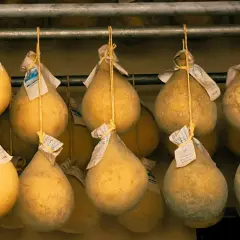 Forme di caciocavallo appese, alcune con muffa, pronte per stagionare. Ideali per chi cerca un caciocavallo lattosio.