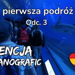 Największe oceanarium w Europie - co je wyróżnia i zaskakuje