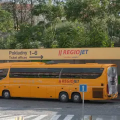 Żółty autobus RegioJet na praskim dworcu. W tle tablica z informacją o kasach biletowych i zielony przystanek.