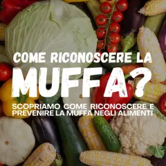 Verdure fresche e colorate, tra cui cavoli, mais e peperoni, circondano il testo "Come riconoscere la muffa?". Evita le patate pelose e altri alimenti ammuffiti.