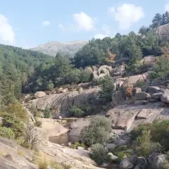 Paisaje rocoso con vegetación y un pequeño río, ideal para **la pedriza rutas**.