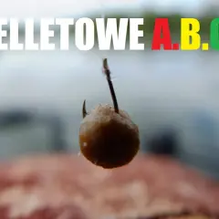 Jak założyć pellet na haczyk? Opanuj techniki i łów więcej!