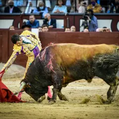Emilio de Justo, torero, se enfrenta a un toro en Las Ventas. El público observa atento.