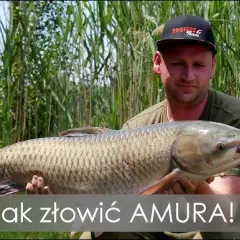 Czym zaciąć amura? Wybierz idealny haczyk i łów skutecznie!
