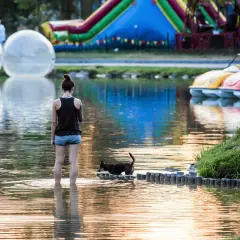 Kobieta z psem w wodzie na zalewie nowohuckim. W tle dmuchane zjeżdżalnie i łódki w kształcie samochodów.
