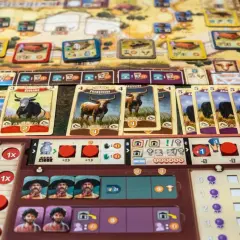 Planszówka Great Western Trail Argentyna z kartami bydła i planszą gracza.