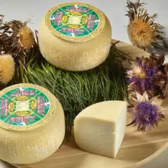 Formaggi rotondi e una fetta, con etichette che indicano "con caglio vegetale". Circondati da erbe verdi e fiori secchi.