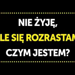 Najlepsze zagadki z odpowiedziami: Logiczne, śmieszne, dla każdego!