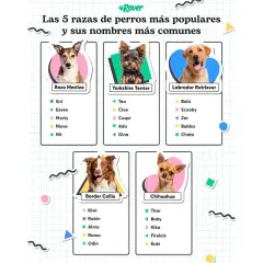 Las 5 razas de perros más populares y sus nombres más comunes, incluyendo nombres de perros graciosos como "Firulais" y "Cuqui".